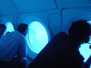 a0067962_17325.jpg