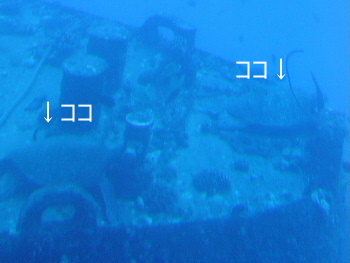 a0067962_1740082.jpg