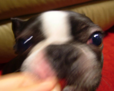 c0032567_2215062.jpg