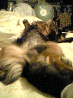 f0077270_075891.jpg