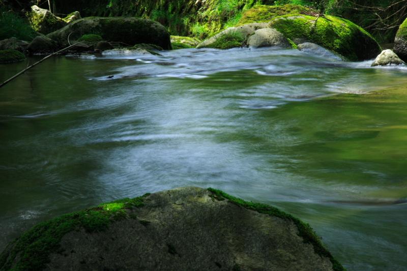 c0030874_6322268.jpg