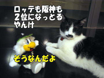 b0041182_21285857.jpg