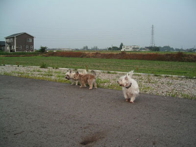 e0066883_20121162.jpg