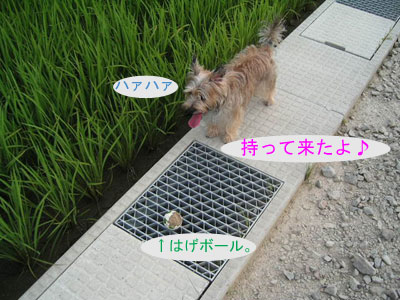 e0066883_20123299.jpg