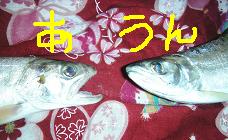 d0017084_13492211.jpg