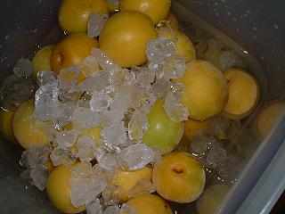 b0092794_013488.jpg