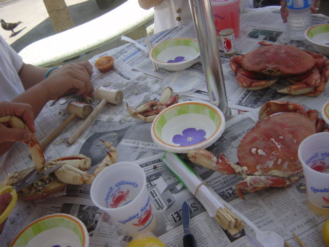 c0048504_175074.jpg