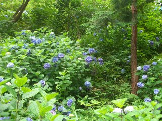 b0061107_23391115.jpg