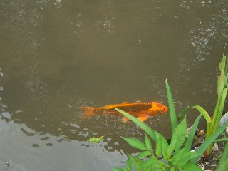 b0061107_23401085.jpg