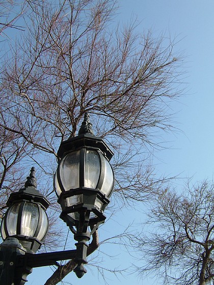 a0018608_132789.jpg