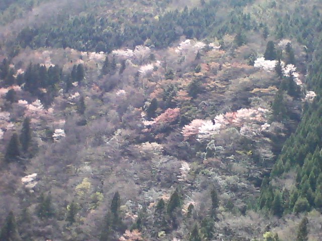 a0081109_21341222.jpg