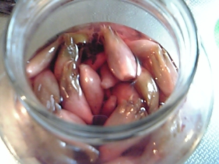 f0083726_16373552.jpg