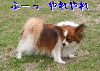 d0013149_931331.jpg