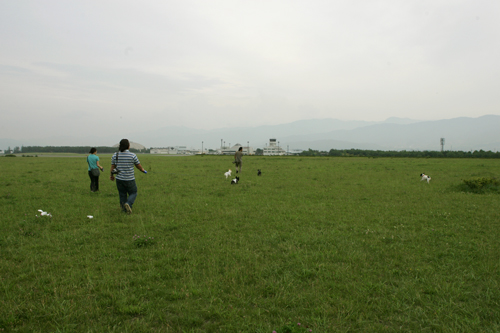 c0029654_0445812.jpg