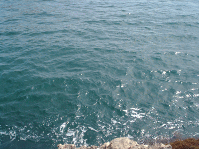 a0059365_14463275.gif