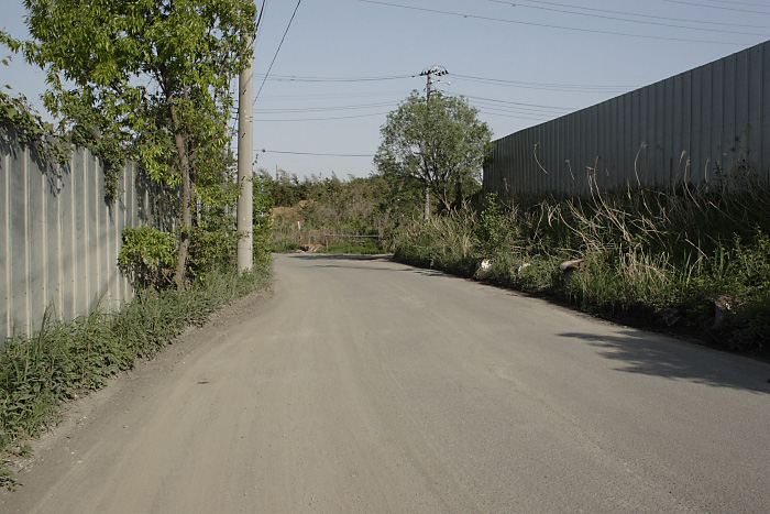 b0108068_12383822.jpg
