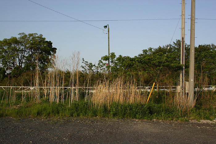 b0108068_12404271.jpg