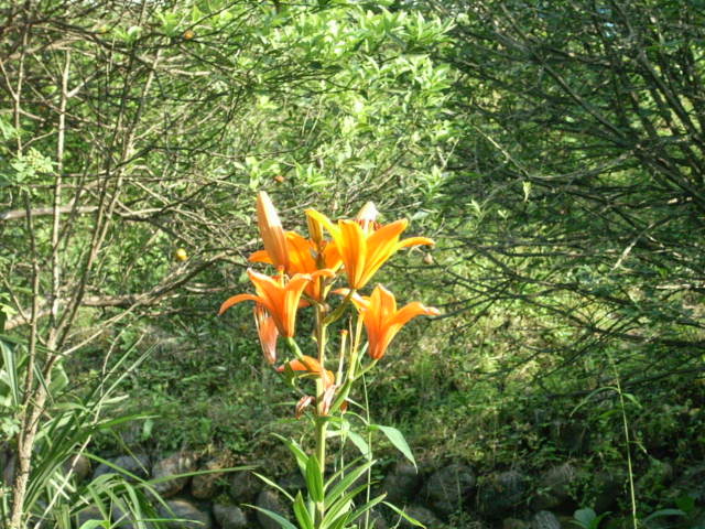 b0097871_224253.jpg