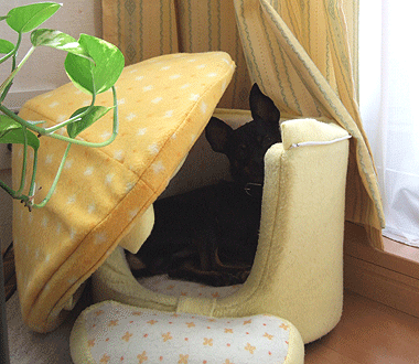 c0012571_16221353.gif