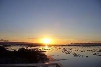 f0059671_0241856.jpg