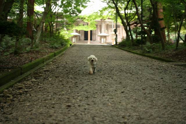 e0024081_16254660.jpg