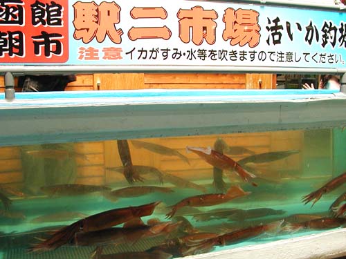 f0092382_13121865.jpg