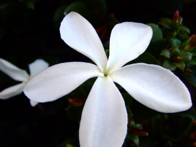 c0062603_15485482.jpg