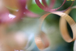 c0039205_2233714.jpg