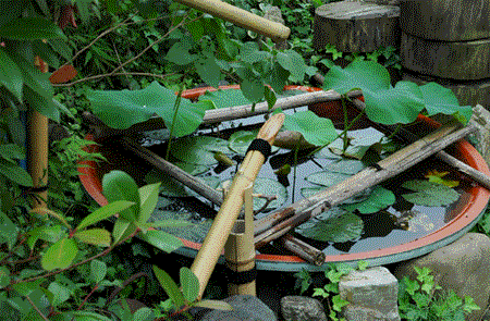 b0012811_1032720.gif