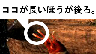 e0068211_9124622.jpg