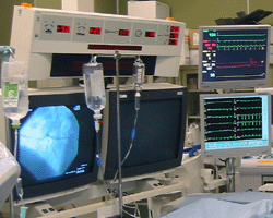 a0055913_042820.gif