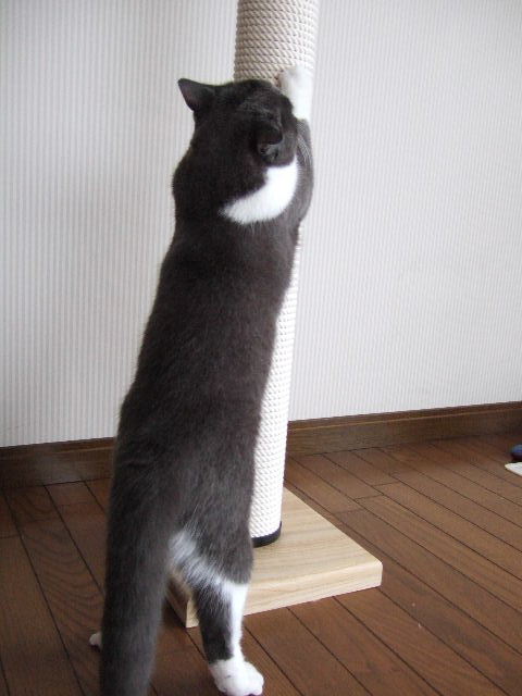 f0032020_15474778.jpg