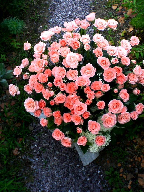 e0080524_155576.jpg