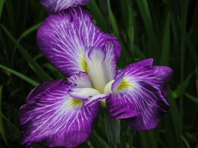 a0020929_10372725.jpg
