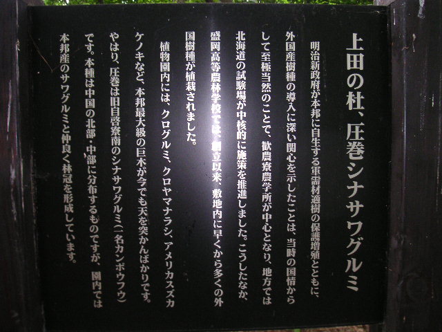 a0020929_10625.jpg