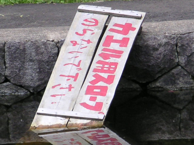 a0020929_1092942.jpg