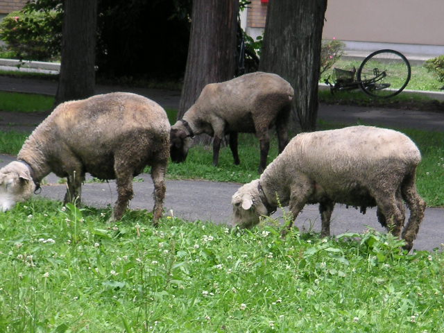 a0020929_9594114.jpg