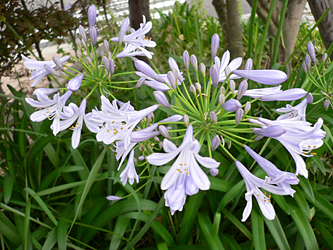 c0069048_611457.jpg