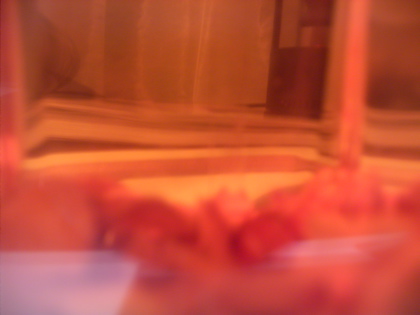 d0049553_08387.jpg