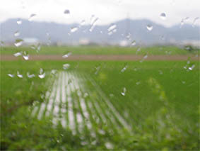 f0062055_5544060.jpg