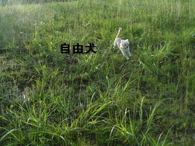 f0101658_2052479.jpg