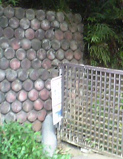 e0083359_195231.jpg