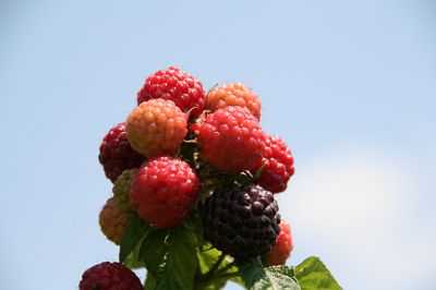 f0017363_21272914.jpg