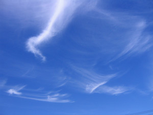 f0101776_2321111.jpg