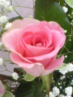 e0063580_17111015.jpg