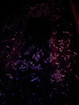 c0016987_204511100.jpg