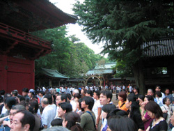 d0053492_2523936.jpg