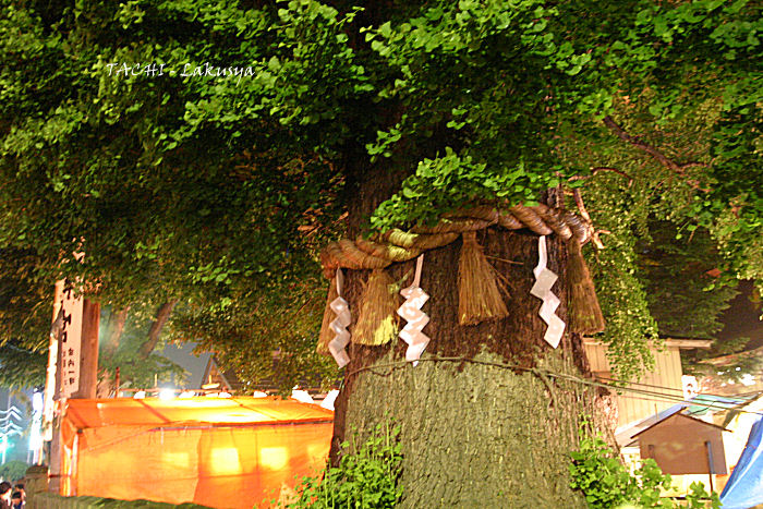 d0027893_2247376.jpg