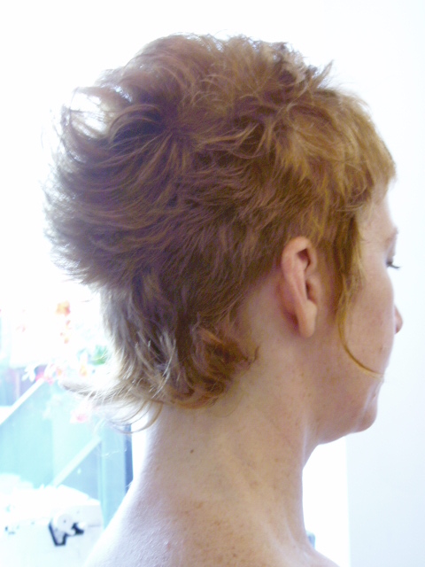 c0037103_12414553.jpg