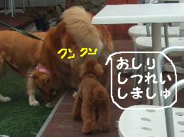 a0007906_1675263.jpg